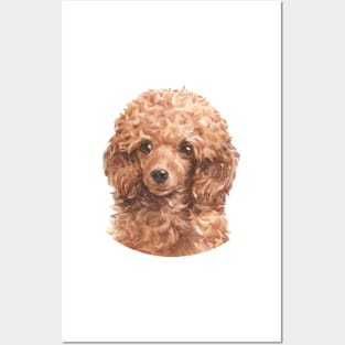 Red Toy Poodle Watercolor Art Posters and Art